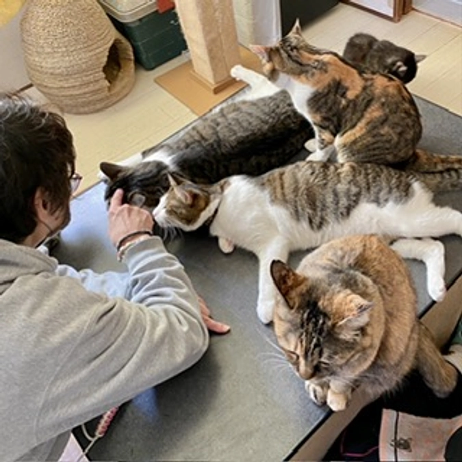 ボランティア リレー⑫