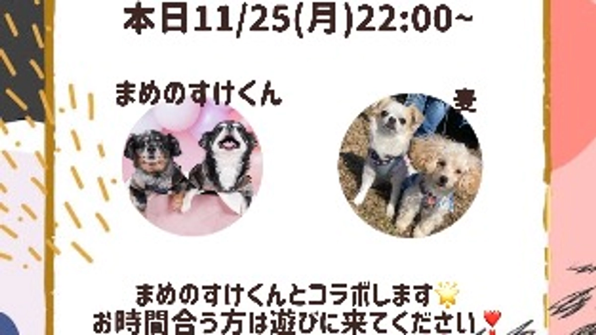 本日11/25(月)22:00〜インスタコラボライブします🎤