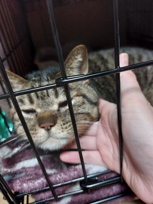 本日あと2時間で終了です