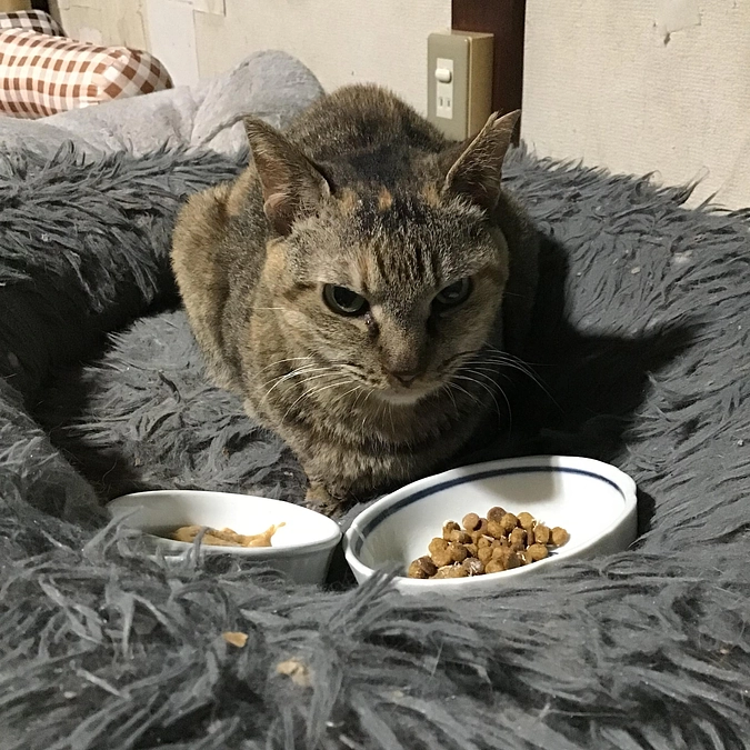 うめちゃん　病院へ行ってきました