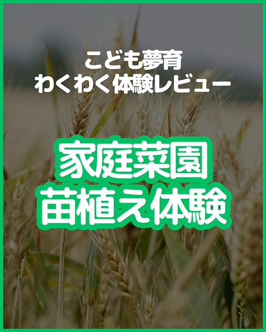 2024.6.1 夢育菜園 苗植え体験