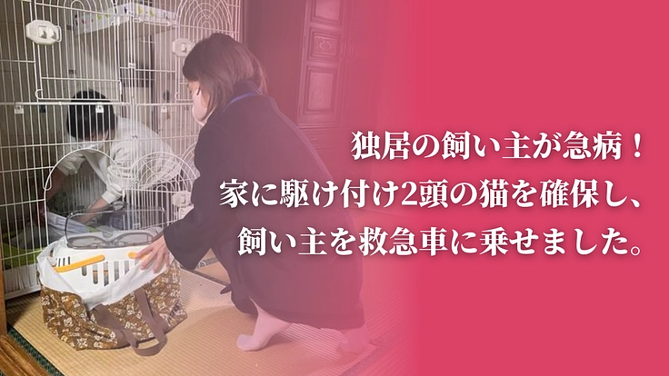 「不幸な猫ゼロ」を目指して。猫たちを救うセーフティネットにご支援を 9枚目