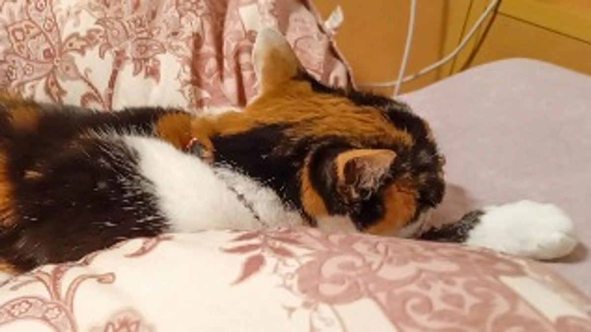 【Vol.9 4/6】目標達成の御礼とネクストゴール設定について