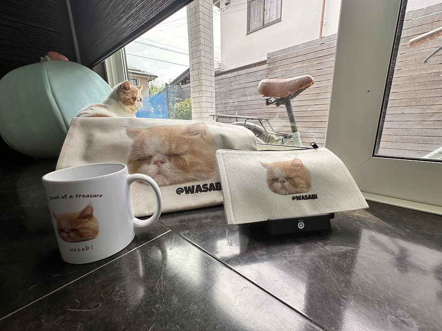 しちみの避妊手術