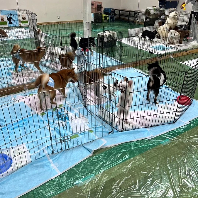 第一目標達成まであと16%‼️‼️