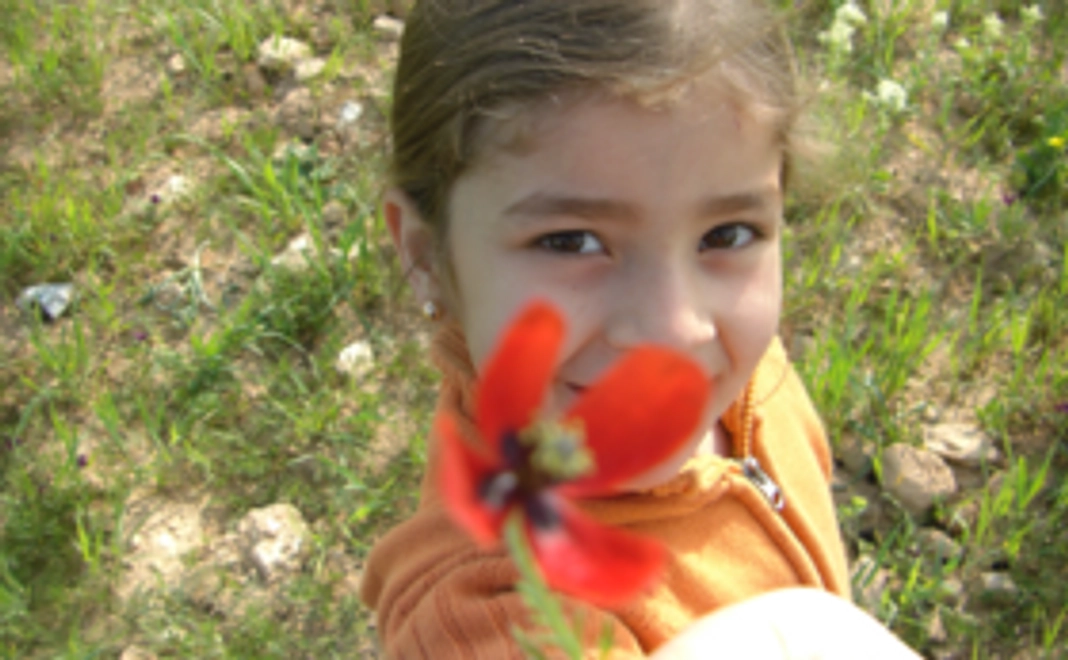 感謝の手紙を届けます！