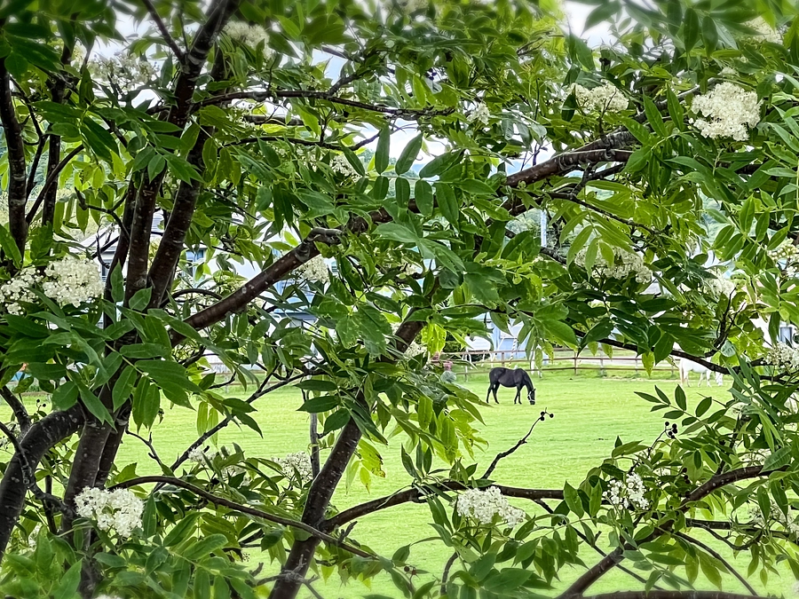 暗渠の追加工事