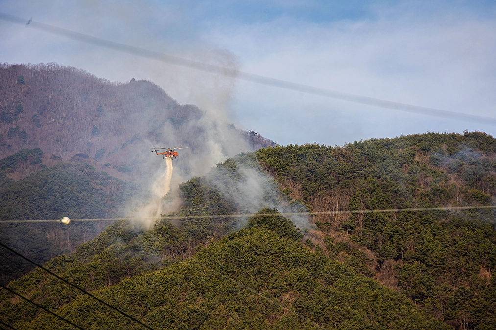 韓国 山火事・ミャンマー地震の緊急支援を行っています