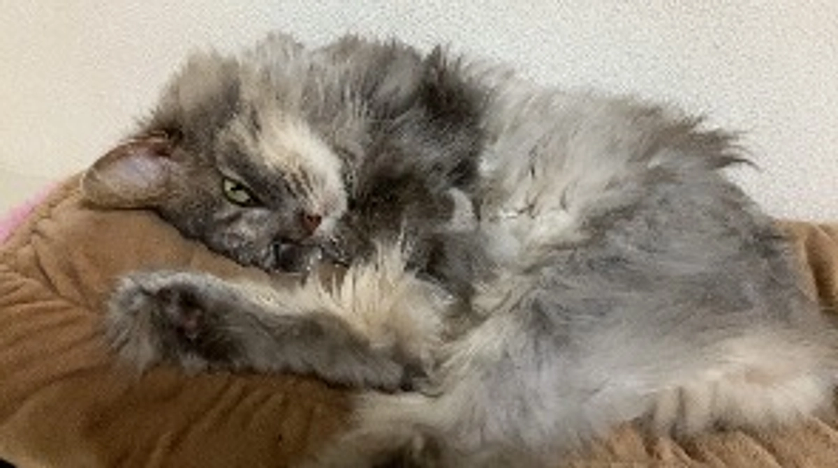 残り10日で88%達成です！