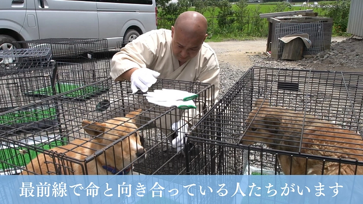 映画『吾輩は保護犬である』完成!映像の力で命の尊さを全国に伝えたい 5枚目