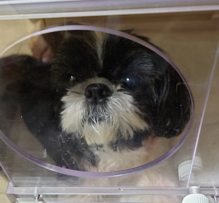 残9日。ボクの決断