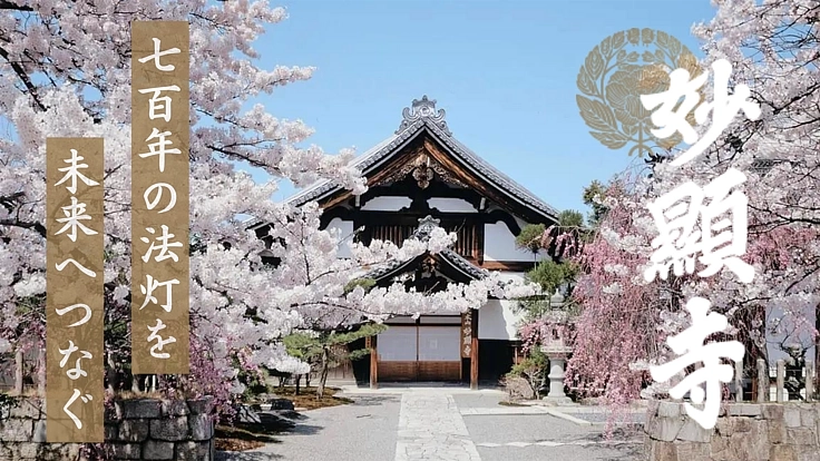 日蓮宗大本山 妙顕寺を、再び「人が集う場」に。書院改修にご支援を。