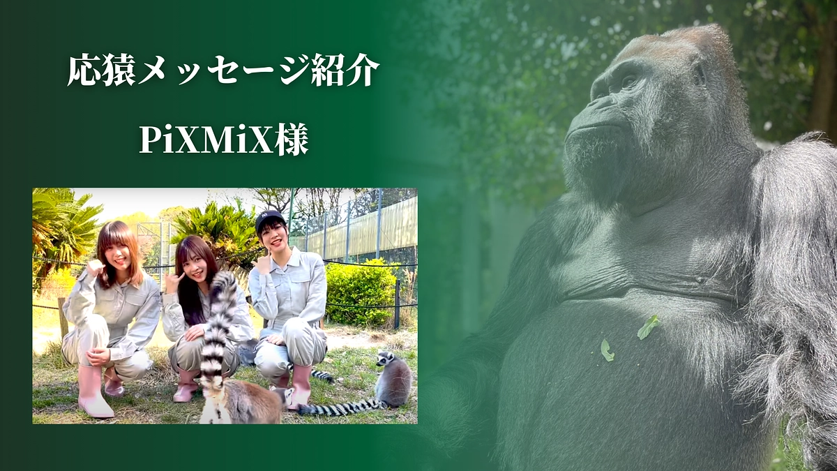 【クラファン活動報告⑲ 】PiXMiXさんより、応猿メッセージをいただきました！