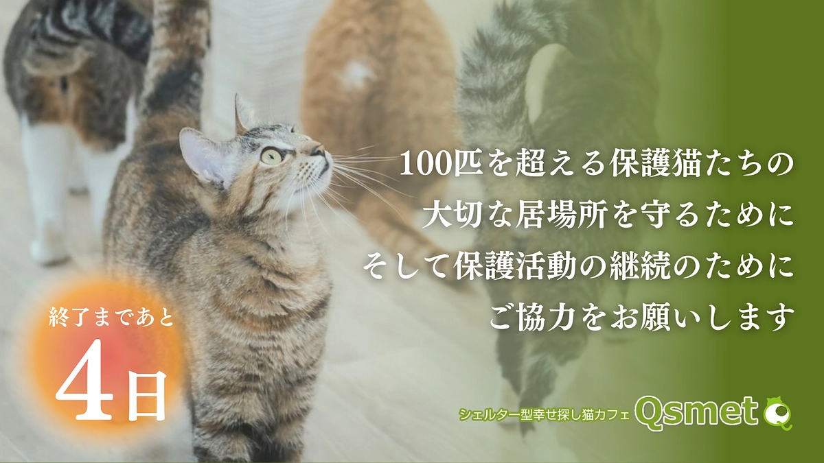 カウントダウン残り4日！あたたかいメッセージをありがとうございます！