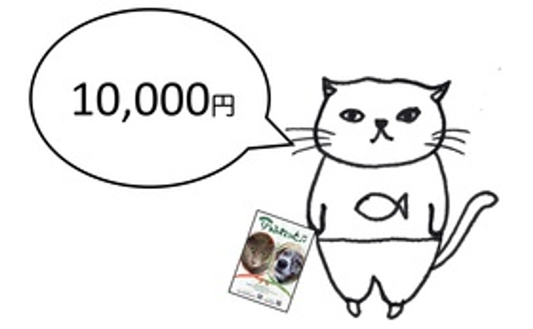 毎月応援10000円コース