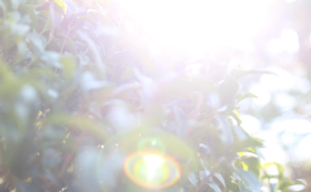 吉川町から感謝の気持ちを。完成したお店をお披露目コース。