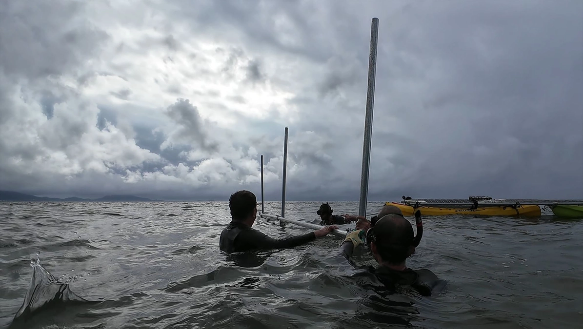 最初の支柱が立ちました