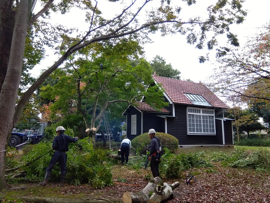 彝アトリエ・エリアのリニューアルがスタート！