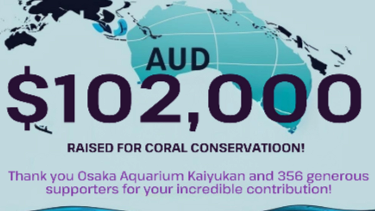 Great Barrier Reef Legacy様からメッセージが届きました