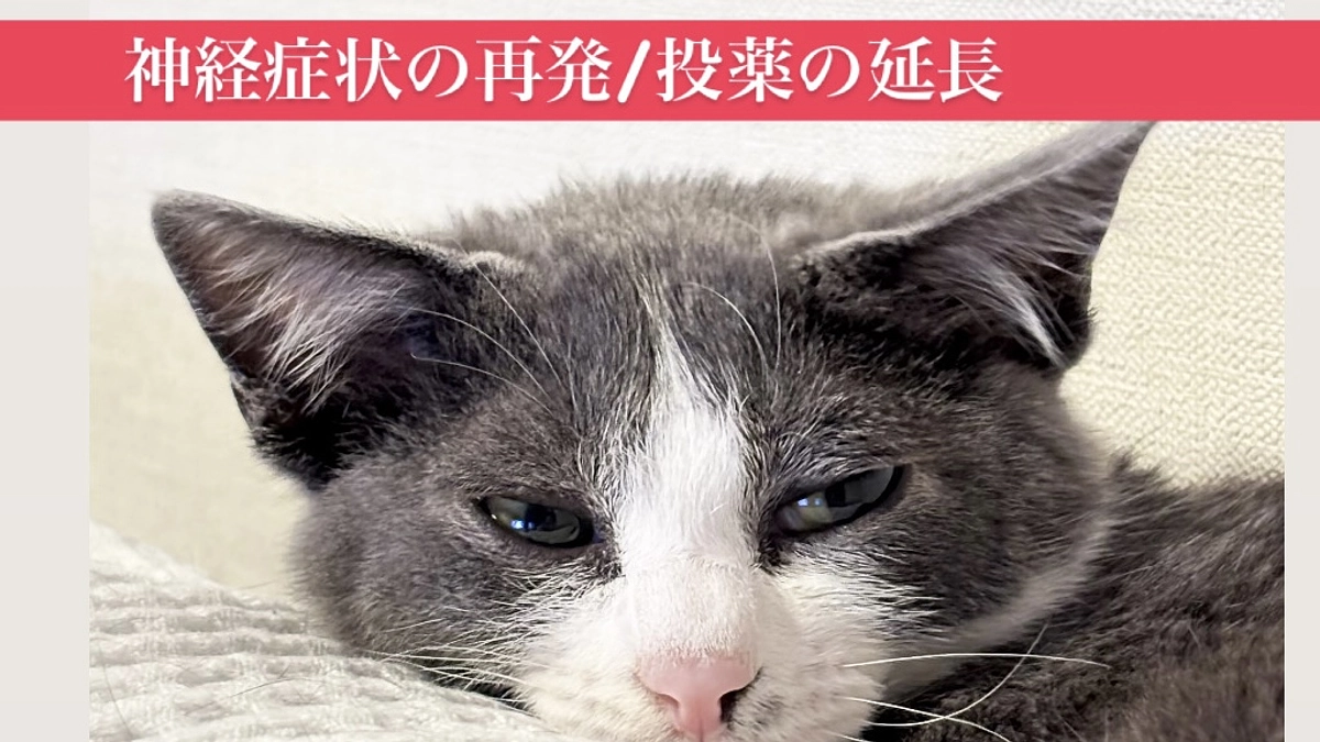 前回の検査結果のご報告：８４日の投薬が延長となりました・・