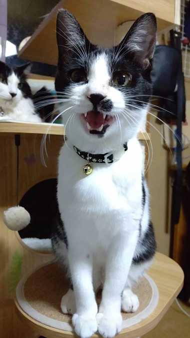 4歳になりました🎉