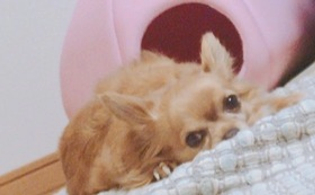 りつに希望を①