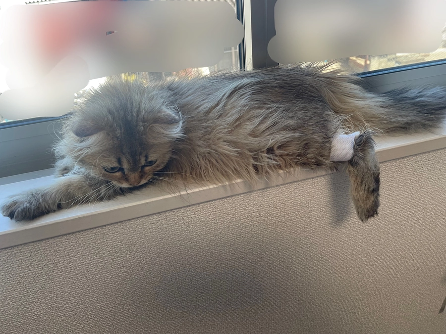 昨日は通院でした！