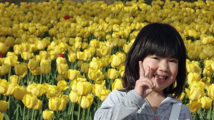 鶴岡オランダ友好花壇にユニバーサル・マットを整備したい