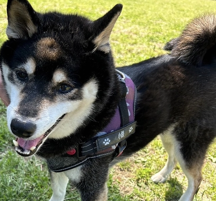 抗がん剤治療中断２