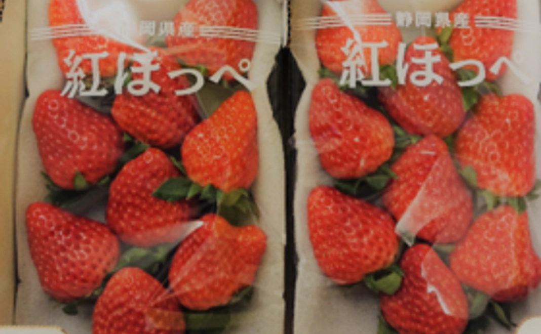 静岡県掛川市産紅ほっぺ2パック