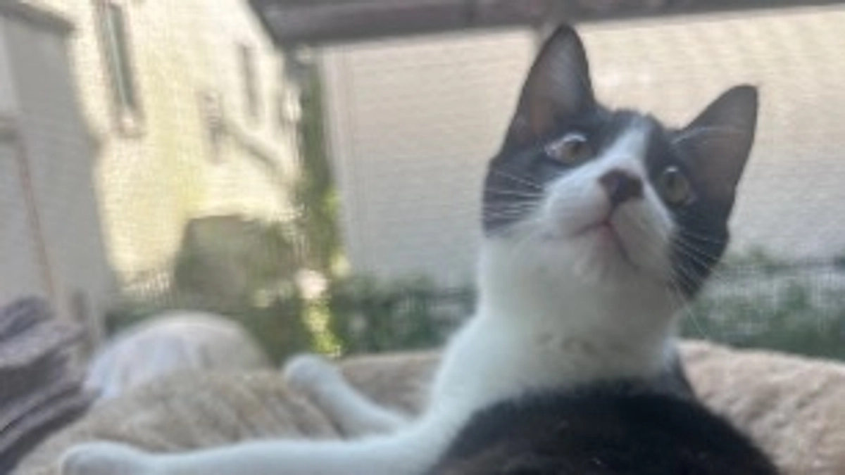 10月18日 〜 日常報告③ 〜保護から57日目