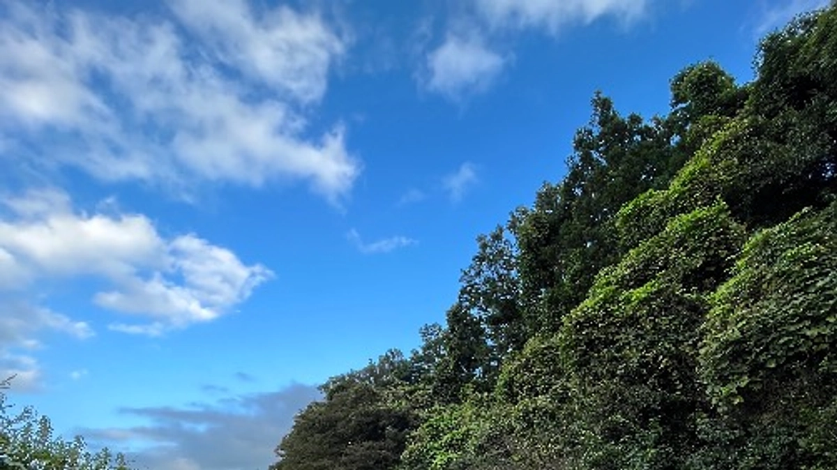 リターンで「あなたのための焚き火を実施」をお選びいただいた方にご案内お送りしました