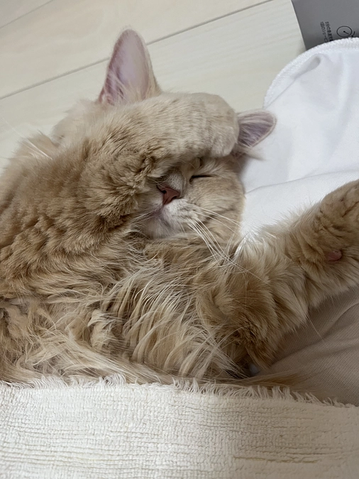 クラウドファンディング残り1ヶ月