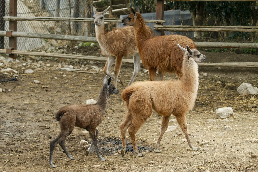 3月1日(金) ご報告～ご支援募集期間を終えて～