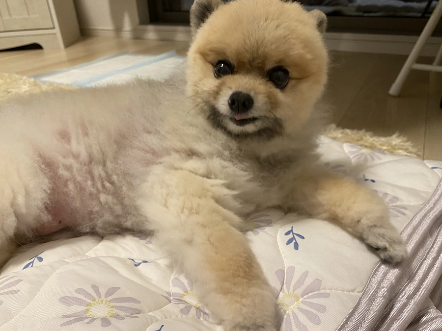 夏はひんやりマット