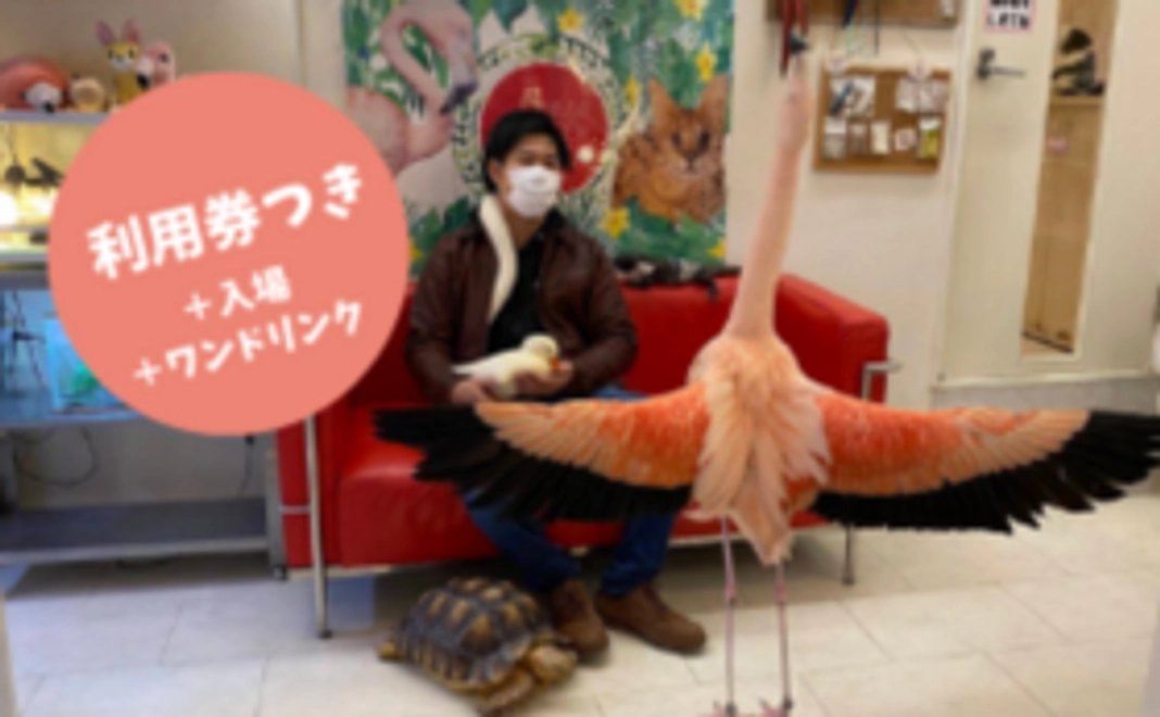 【スタンダードコース】応援＋カフェ利用券