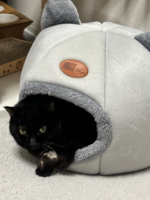 通院報告・ちびの生きる力