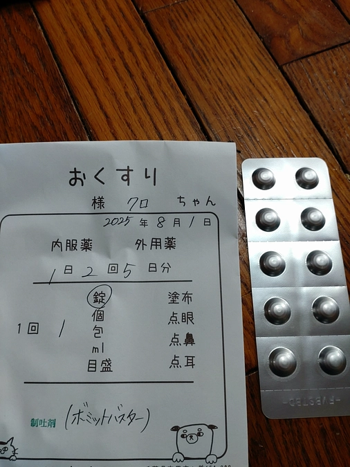 8/1 　お薬💊　サンプル