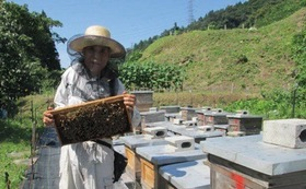 感謝のお礼メール