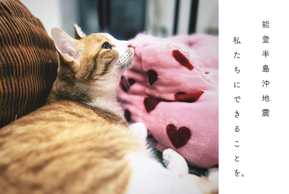 能登半島沖地震（義援物資提供申請）