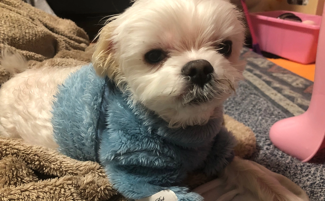 2.感謝のメール