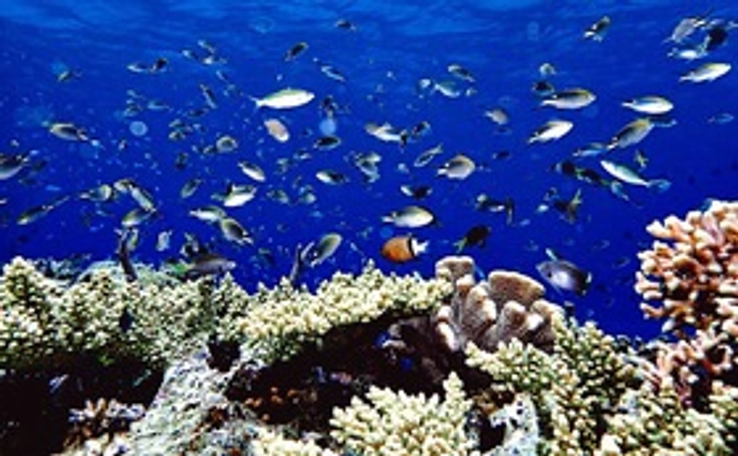 割引体験ツアー 1