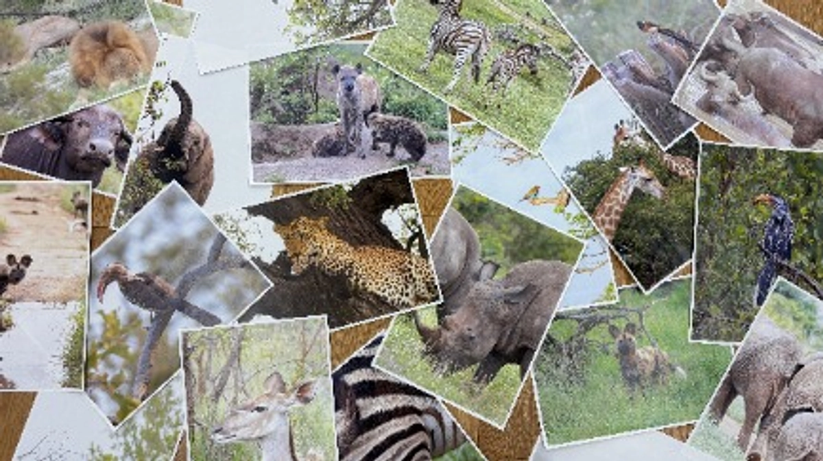 -ご支援のお願い- 残り72時間で223,000円のご支援が必要です