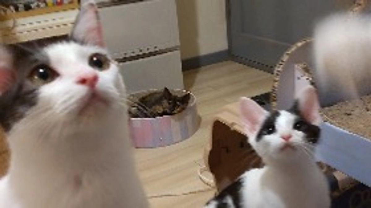 【残り1日！！】最後までよろしくお願いします