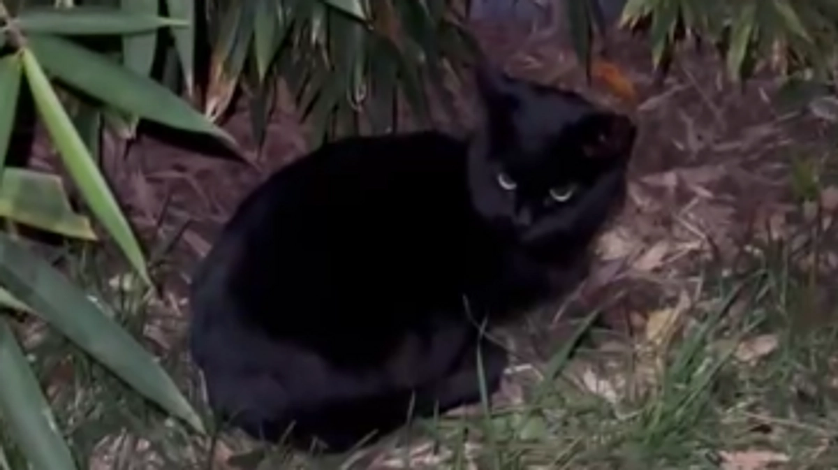 もうすぐ冬休み