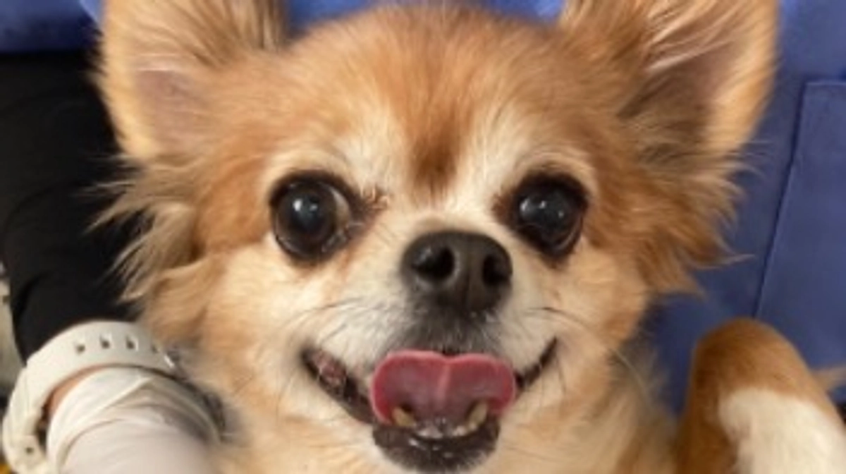 達成率12%⭐️心より感謝申し上げます【活動報告12日目】