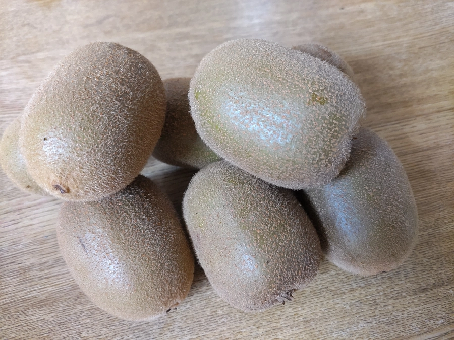 ゴールドキウイを収穫