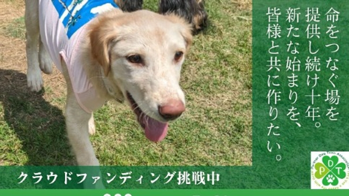 お詫びとご報告になります。