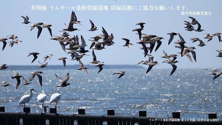 有明海のラムサール条約登録湿地の海岸清掃！ONE有明ビーチクリーン