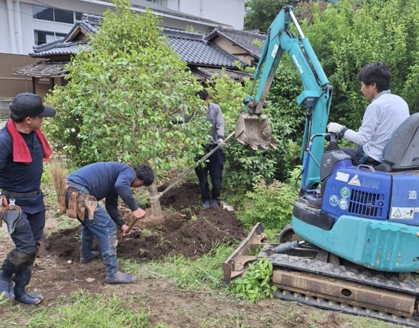 驢庵再生プロジェクトのこれまで  -椿移植作業-